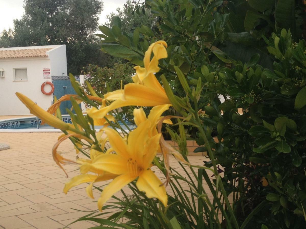 Vilabranco Albufeira Bagian luar foto