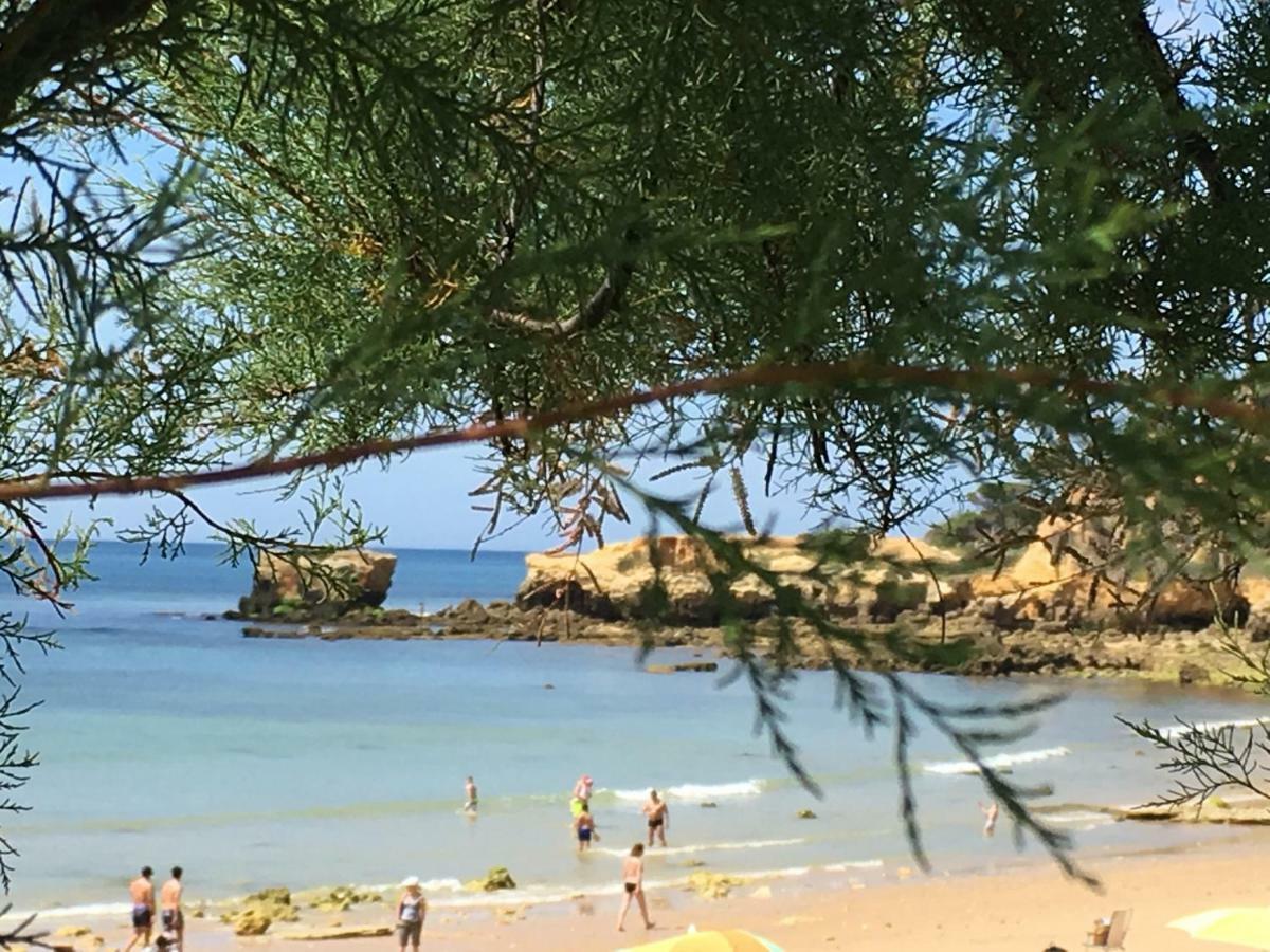 Vilabranco Albufeira Bagian luar foto